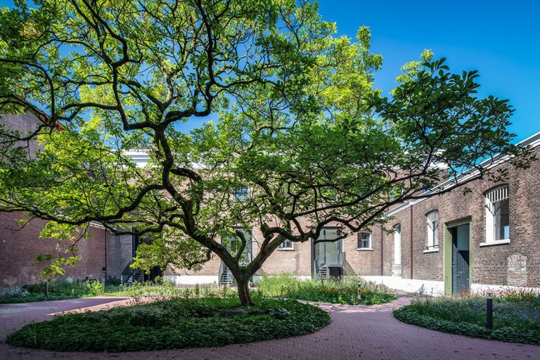 Hofvrouw_3